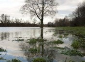 Hochwasser-5