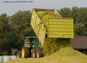 Maissilage13